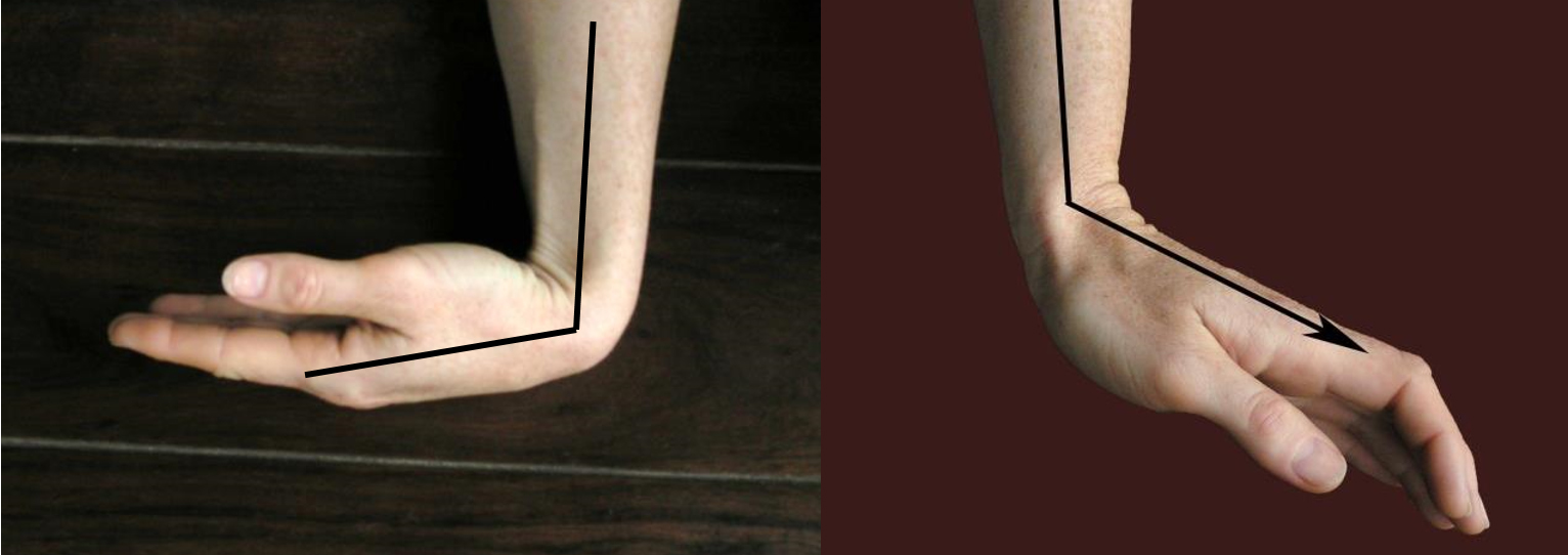 A csukló ízület palmáris (1. kép) és dorzális flexiója (2. kép)