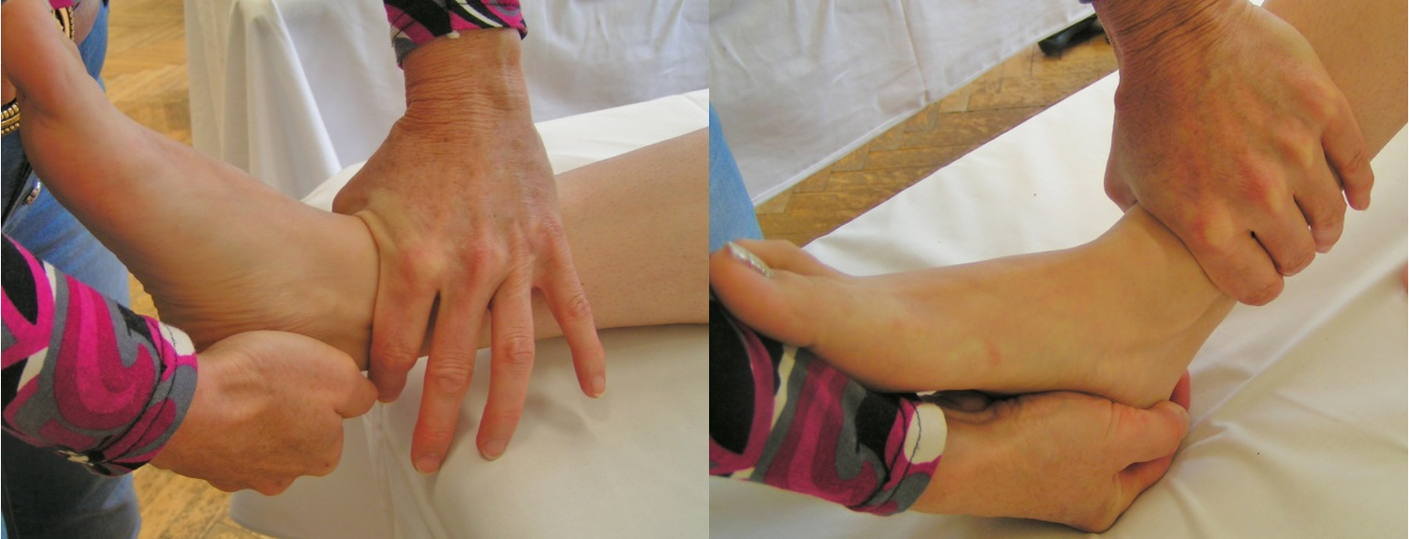 A bokaízület elülső stabilitásának vizsgálata. A vizsgáló a lábszárat stabilizálja, és a sarokcsontot előrehúzza (1. kép), vagy a sarokcsontot letámasztja, és a lábszárat csúsztatja hátra (2. kép).