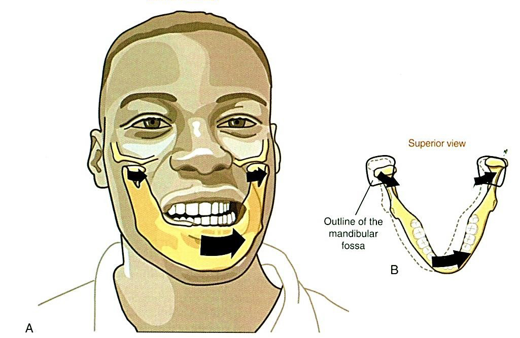 A mandibula oldalirányú mozgása A Frontális síkban B Horizontális síkban