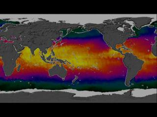 Anim30 - This animation show a year in the life of global ocean temperatures, June 2, 2002 to May 11, 2003. Green indicates the coolest water, yellow the warmest. The Advanced Microwave Scanning Radiometer (AMSR-E) on the Aqua satellite saw through the clouds to provide sea surface temperatures. (copyright NASA/Goddard Space Flight Center Scientific Visualization Studio)