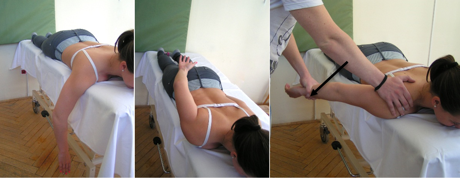 A m. latissimus dorsi differenciált izomerő vizsgálata. 